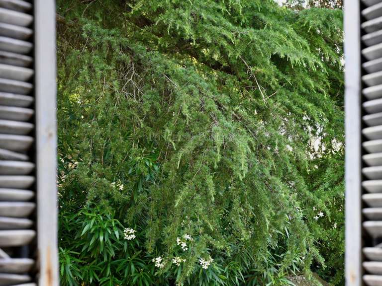 Appartement Montpellier - 2 chambres - 125m²