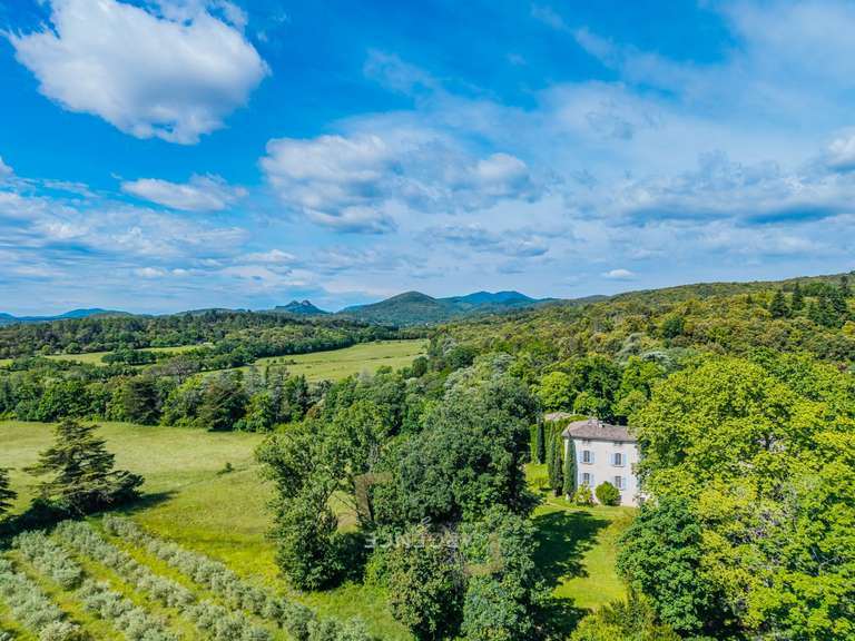 Castle Montpellier - 20 bedrooms - 1560m²