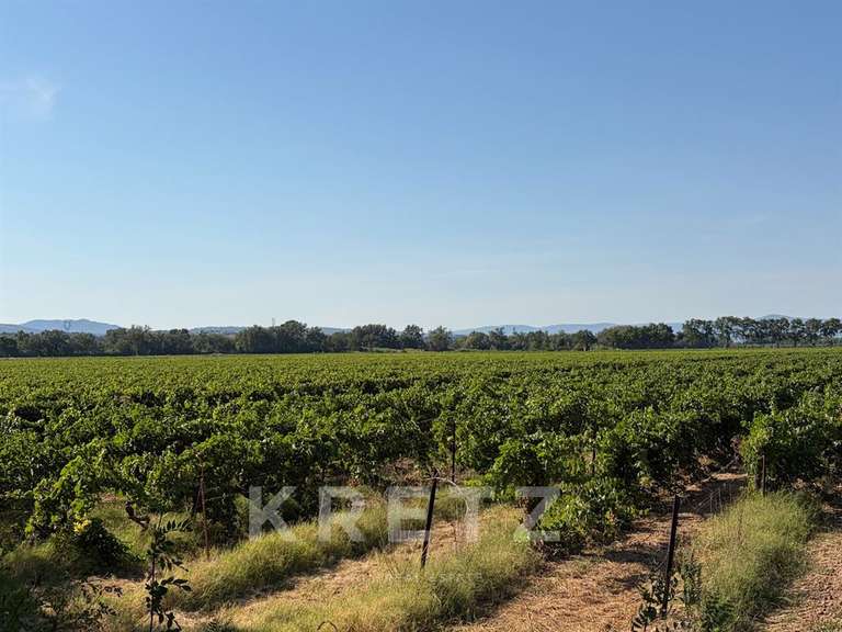 Domaine viticole Montpellier - 24 chambres - 1400m²