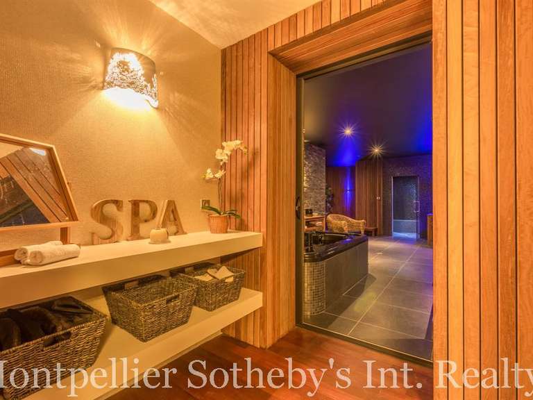Maison Montpellier - 11 chambres - 750m²