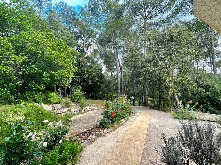 Maison Montpellier - 6 chambres - 289m²