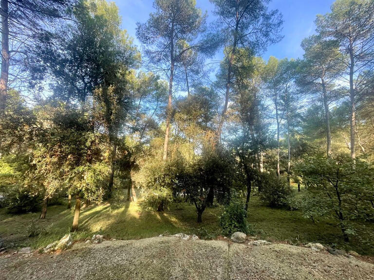 Maison Montpellier - 6 chambres - 289m²