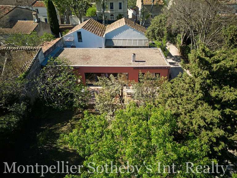 House Montpellier - 2 bedrooms - 287m²