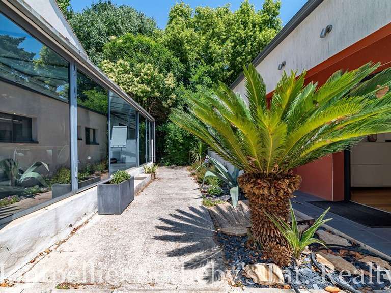 House Montpellier - 2 bedrooms - 287m²