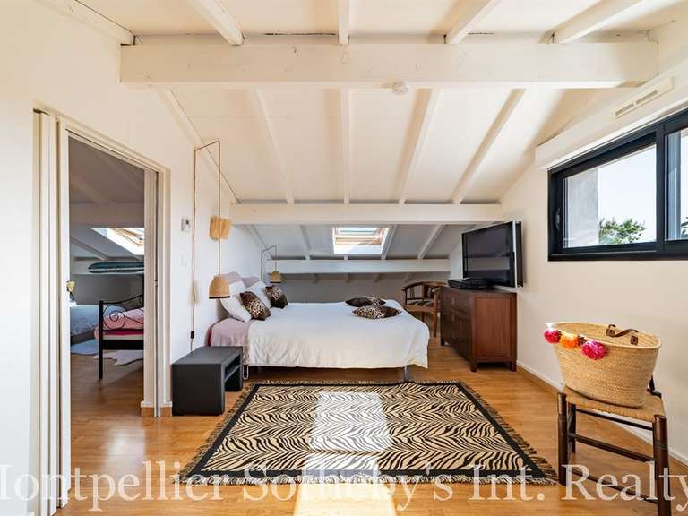 Maison Montpellier - 4 chambres - 247m²