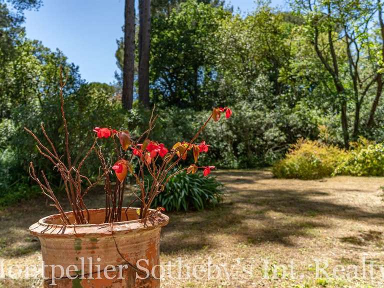 House Montpellier - 6 bedrooms - 272m²