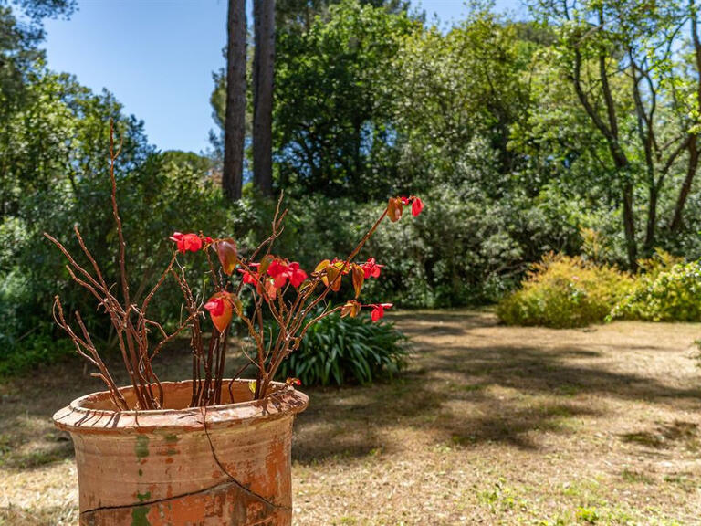 House Montpellier - 6 bedrooms - 272m²