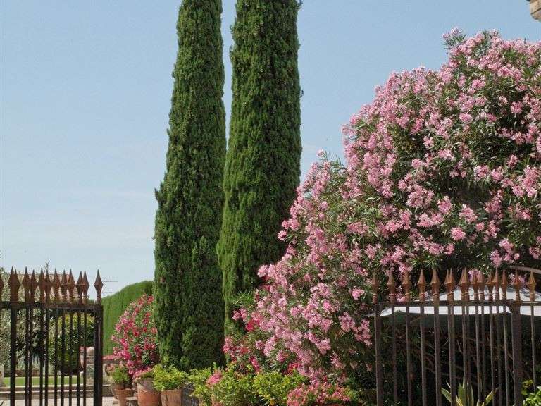 House Montpellier - 6 bedrooms - 600m²
