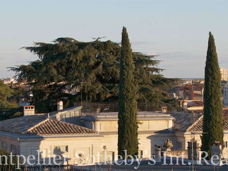 House Montpellier - 6 bedrooms - 600m²