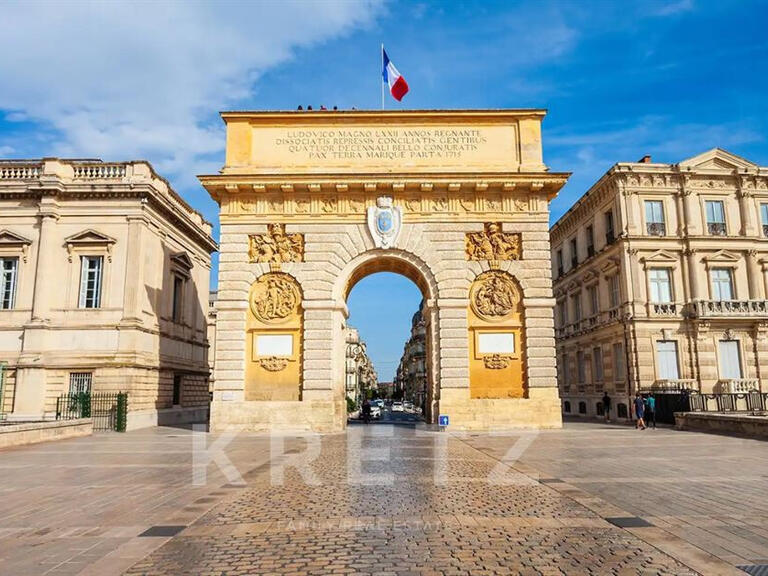 Maison Montpellier - 4 chambres - 300m²