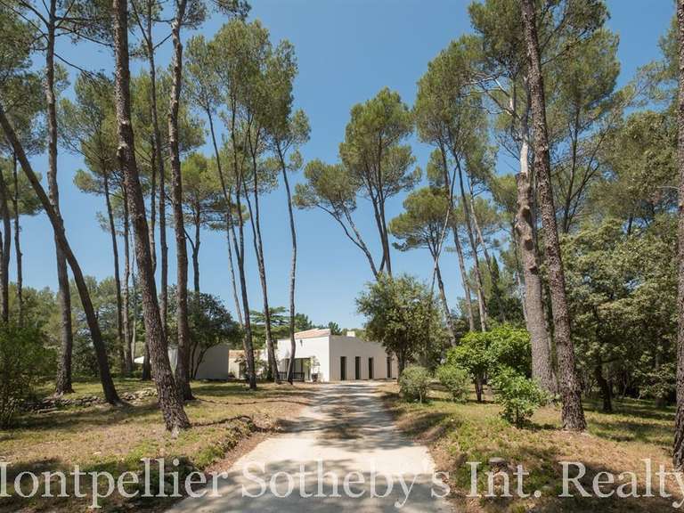 House Montpellier - 7 bedrooms - 415m²