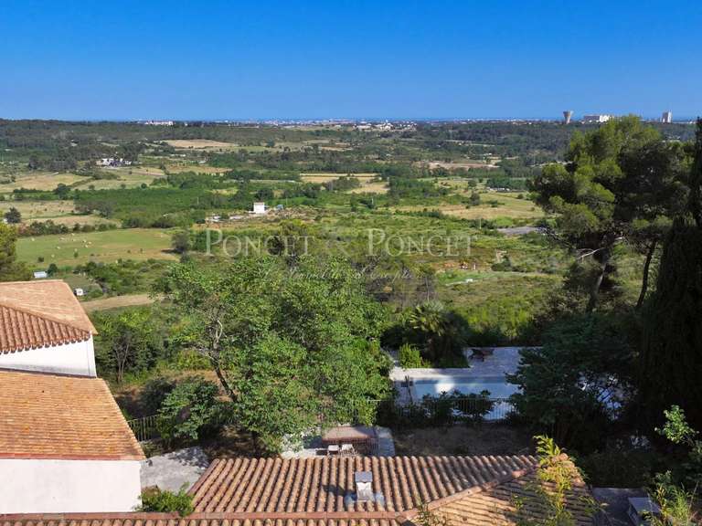 Maison Montpellier - 6 chambres - 275m²
