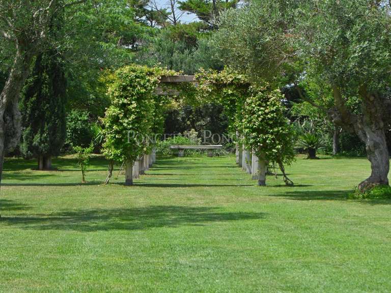 Maison Montpellier - 5 chambres - 880m²