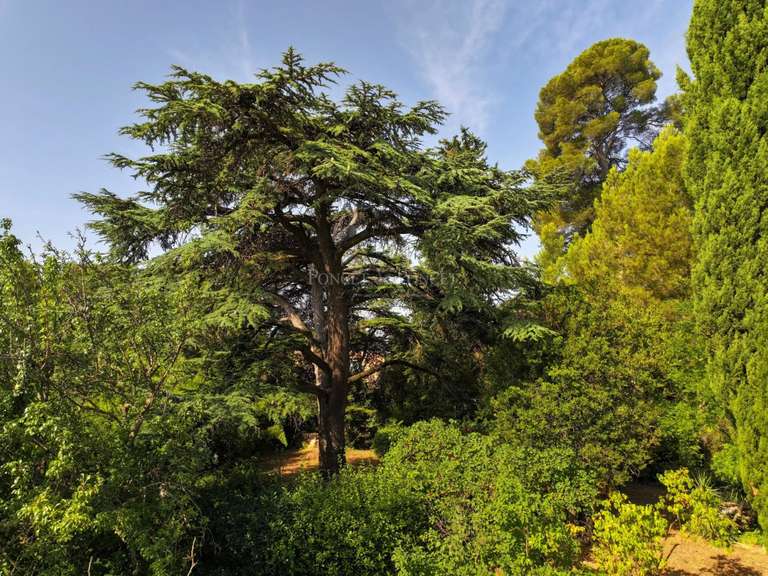 Maison Montpellier - 6 chambres - 700m²