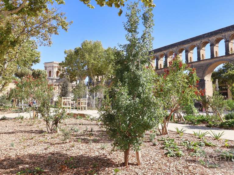 House Montpellier - 3 bedrooms - 182m²