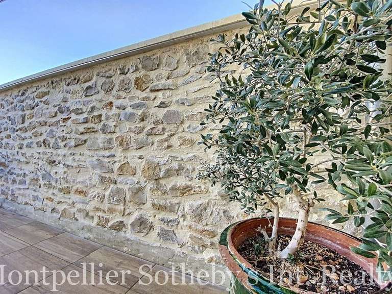 Maison Montpellier - 6 chambres - 300m²