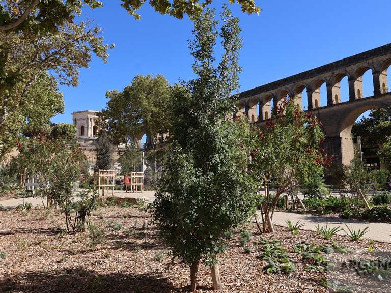 Maison Montpellier - 5 chambres - 210m²