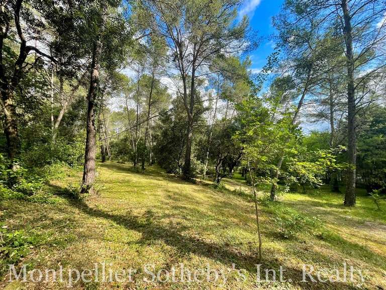Maison Montpellier - 6 chambres - 289m²