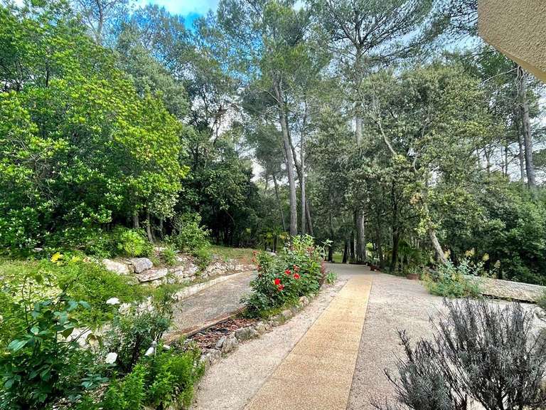 Maison Montpellier - 6 chambres - 289m²