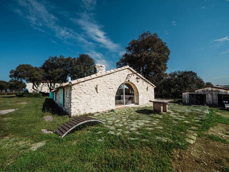 Maison Montpellier - 22 chambres - 1650m²