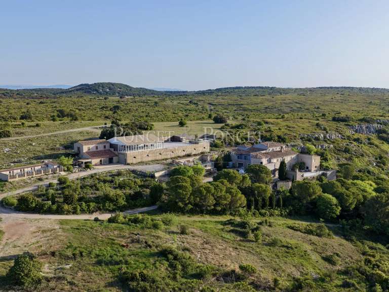 Maison Montpellier - 13 chambres - 1760m²