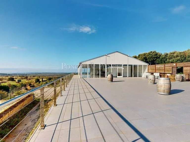 Maison Montpellier - 13 chambres - 1760m²