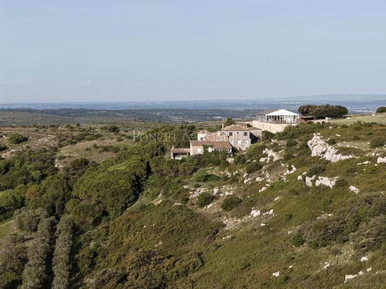 Maison Montpellier - 13 chambres - 1760m²