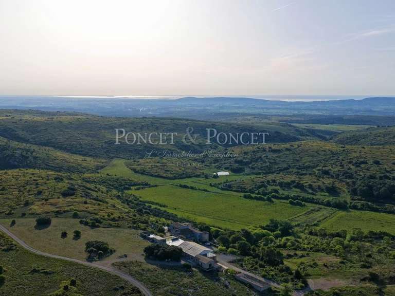 Maison Montpellier - 13 chambres - 1760m²