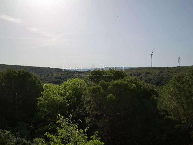 Maison Montpellier - 13 chambres - 1760m²