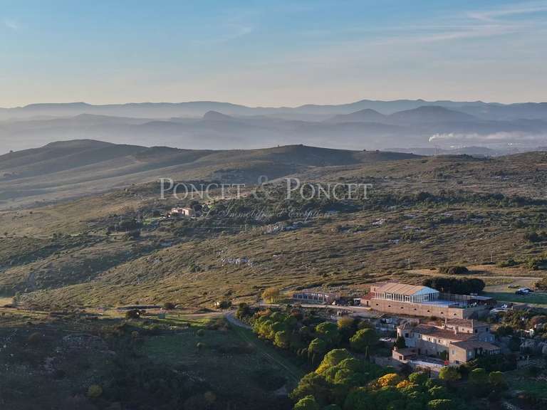 Maison Montpellier - 13 chambres - 1760m²