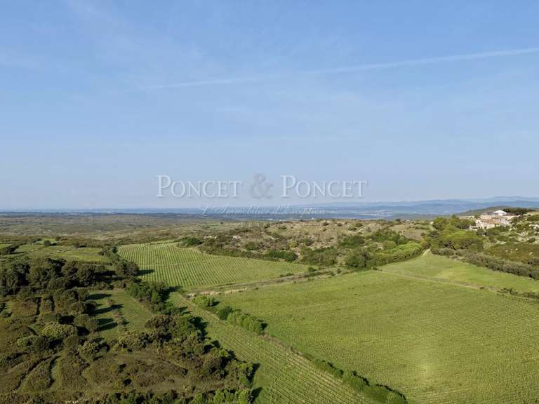 Maison Montpellier - 13 chambres - 1760m²