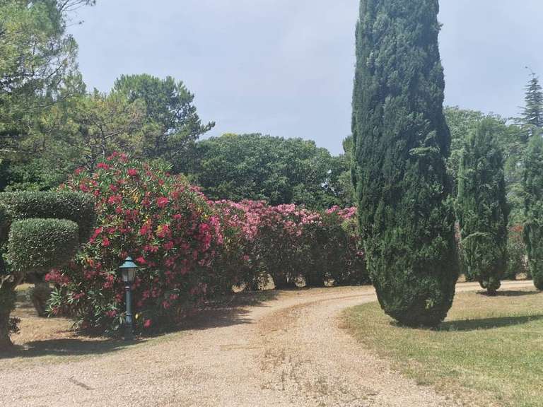 Maison Montpellier - 15 chambres - 570m²