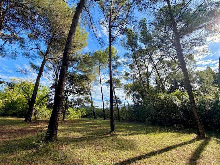 Maison Montpellier - 15 chambres - 1120m²
