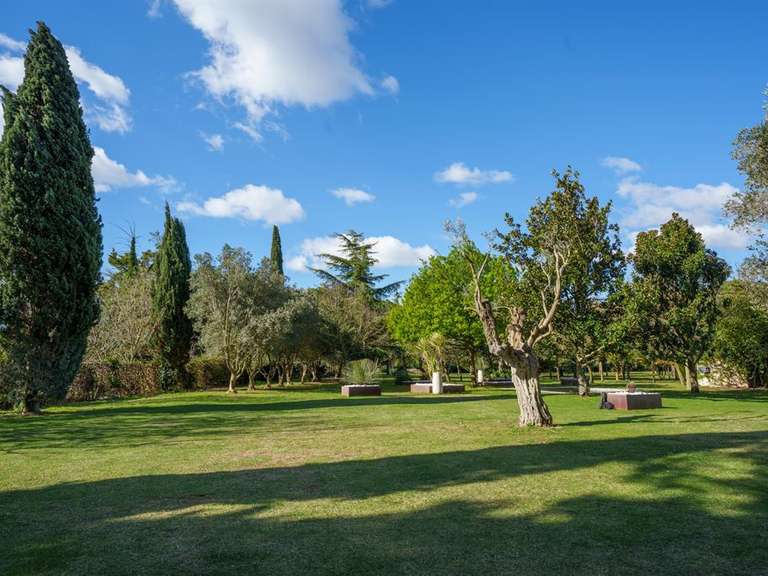 Propriété Montpellier - 7 chambres - 702m²