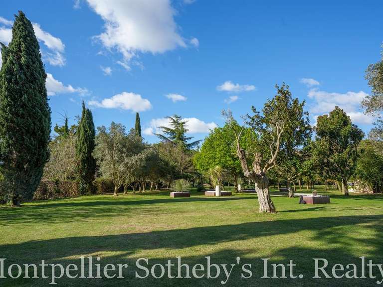 Propriété Montpellier - 7 chambres - 702m²