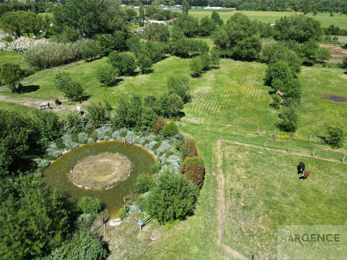 Property Montpellier