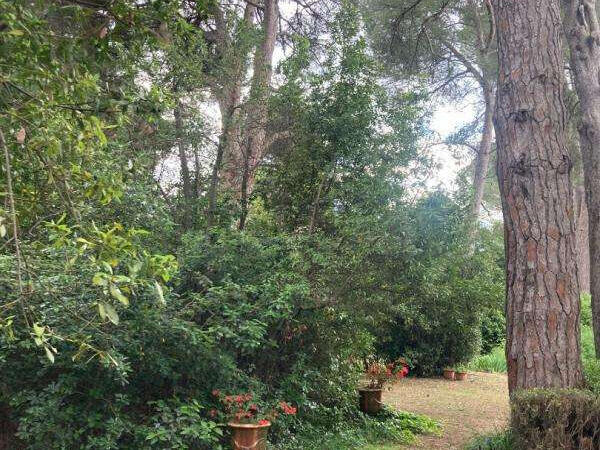 Property Montpellier - 6 bedrooms