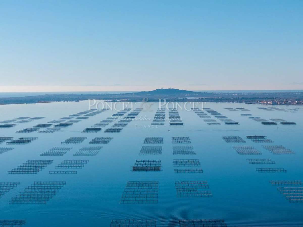 Propriété Montpellier