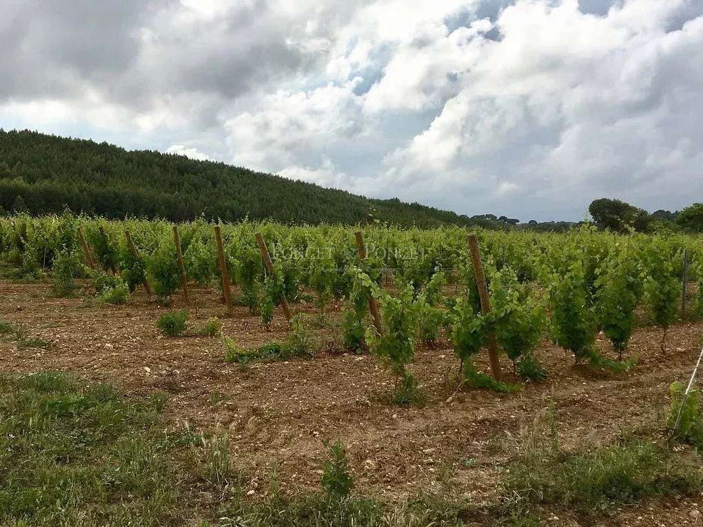 Propriété Montpellier