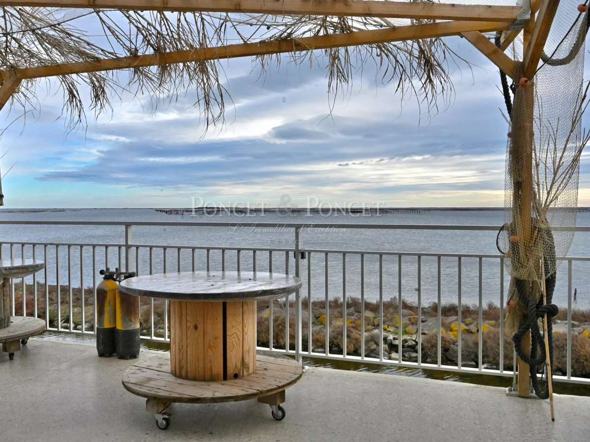 Property Montpellier