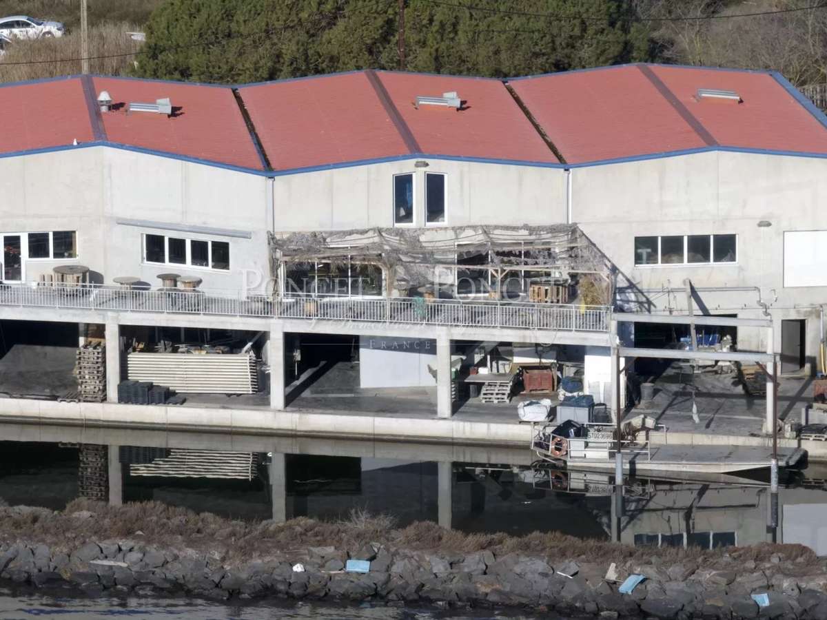 Property Montpellier