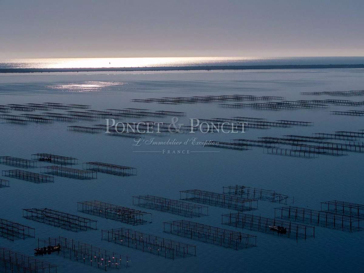 Property Montpellier