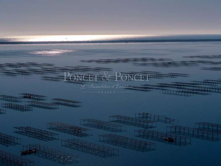 Propriété Montpellier - 2115m²