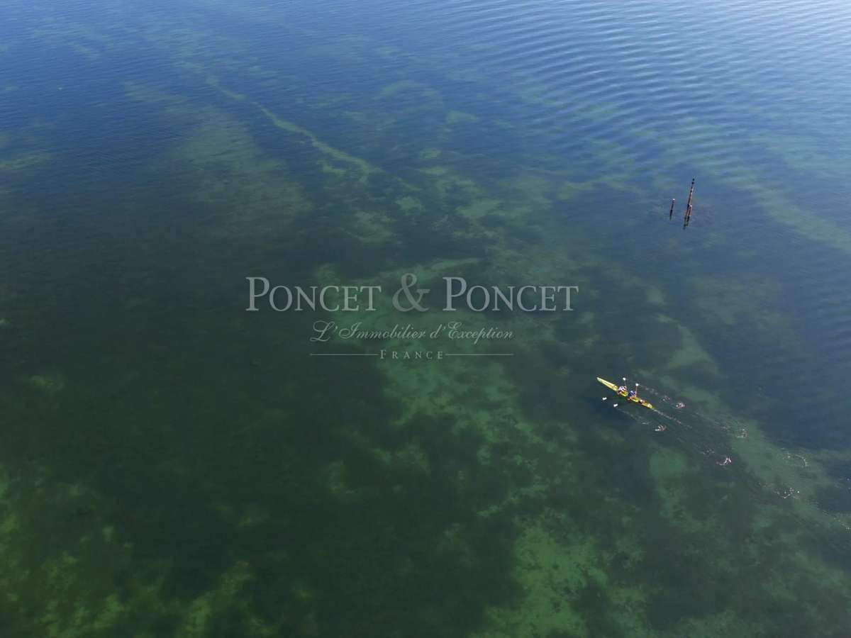 Property Montpellier