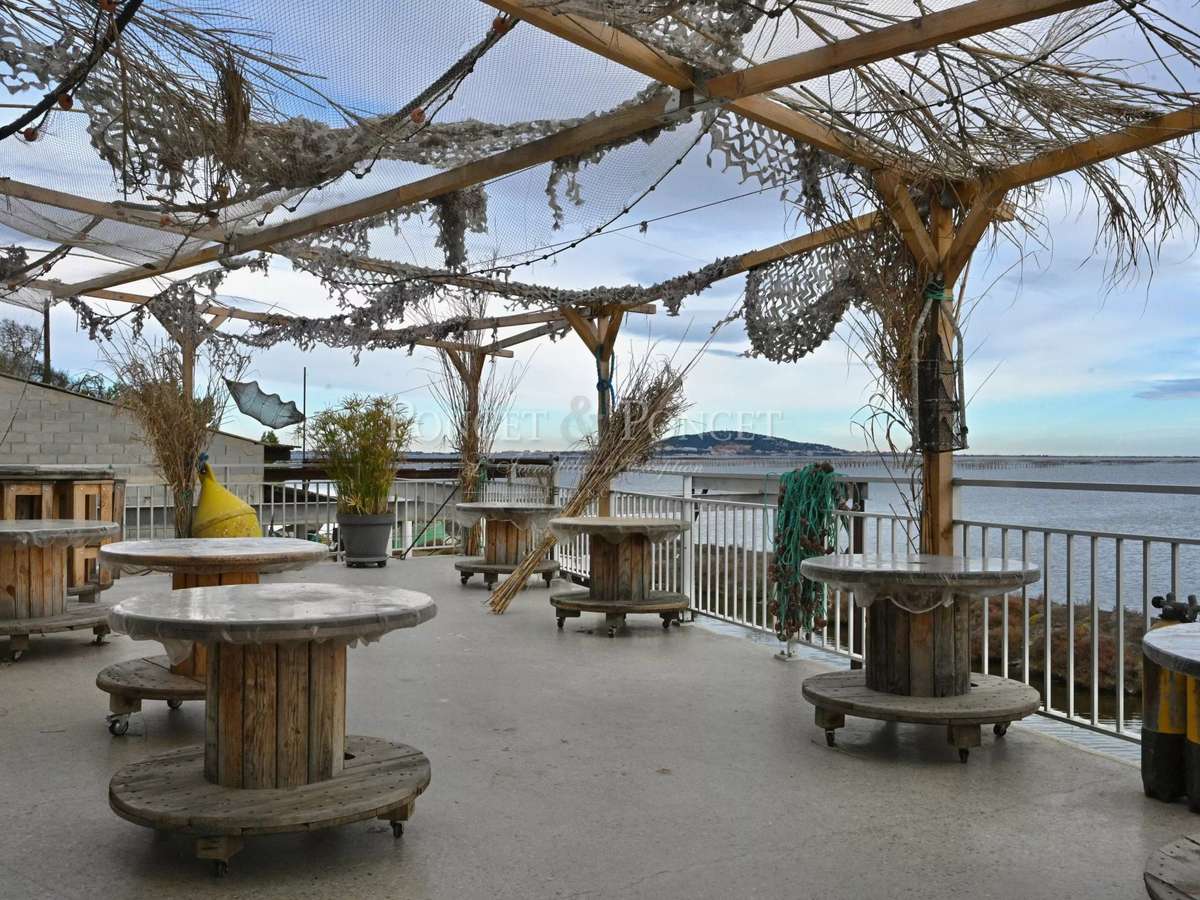 Property Montpellier