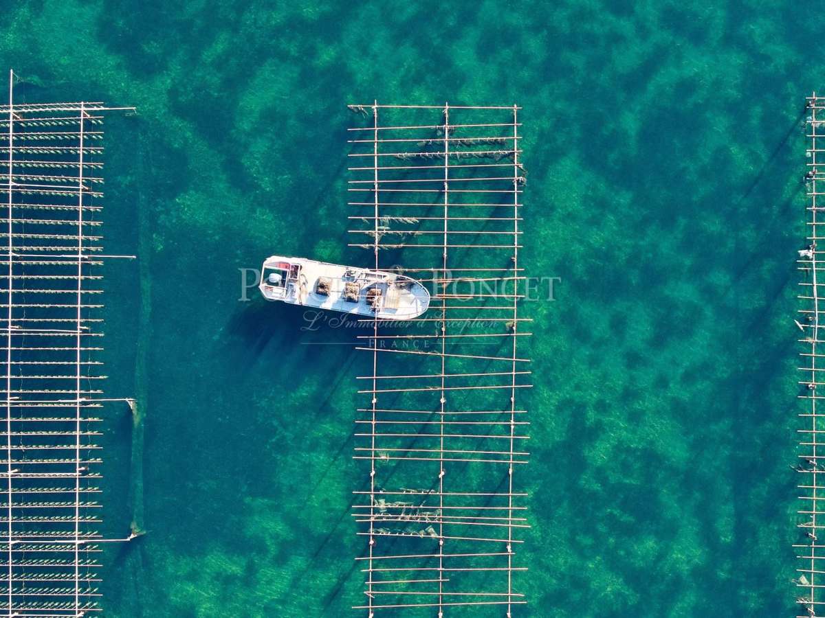 Property Montpellier