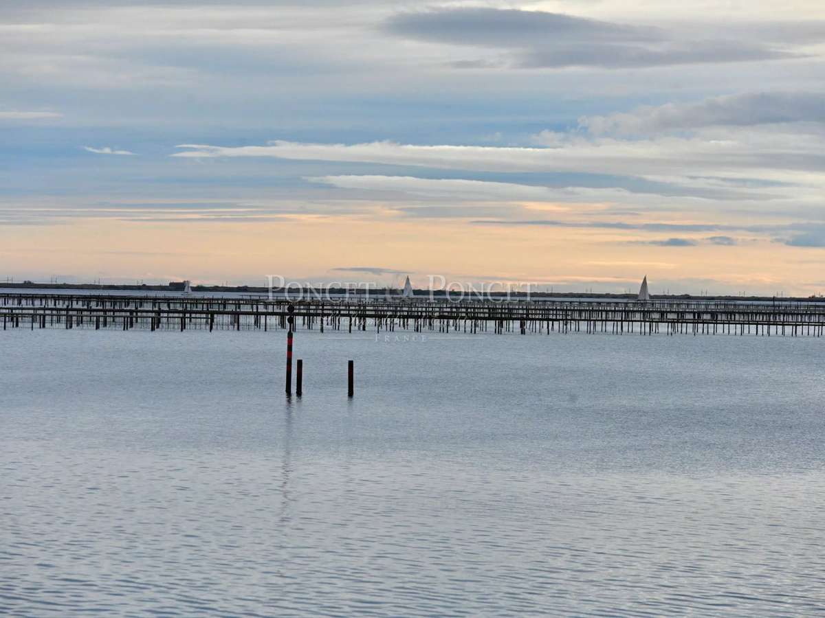 Property Montpellier