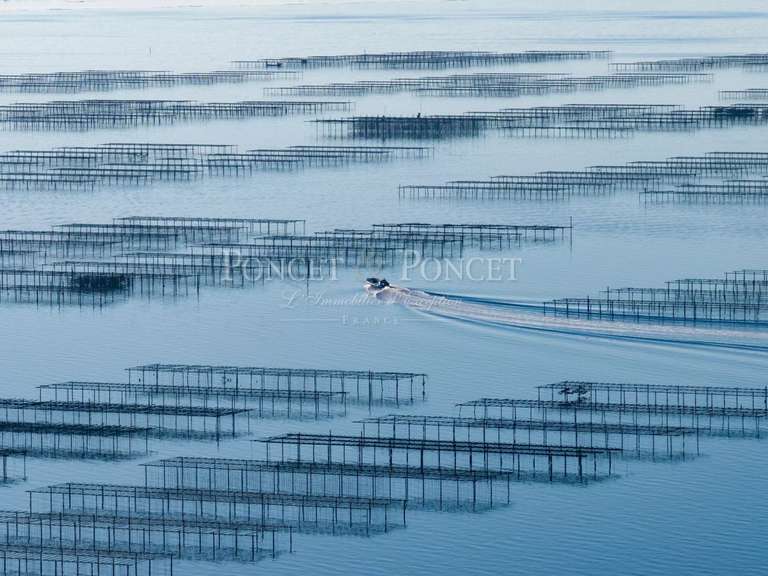 Propriété Montpellier - 2115m²