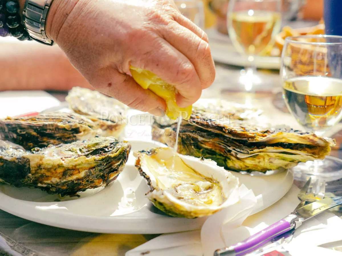 Property Montpellier