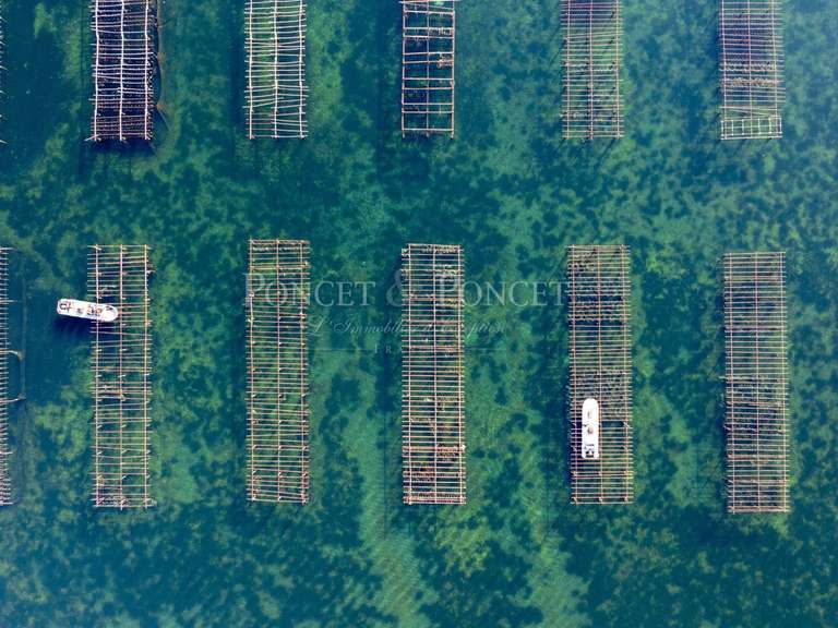 Propriété Montpellier - 2115m²